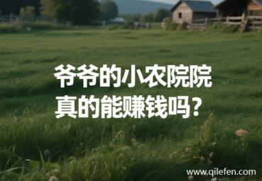 爷爷的小农院真的能赚钱吗,一天能挣多少钱？